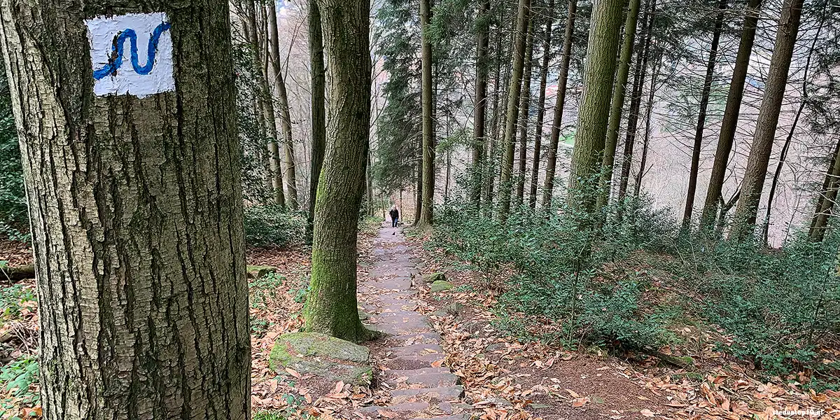 Der Königstuhl, boven het kasteel van Heidelberg