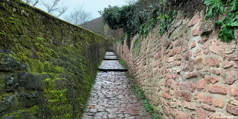 De Schlangenweg verbindt de Oude Brug met de Philosofenweg in Heidelberg